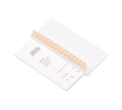 DL Enveloppen met hechtstrip (25 st.)